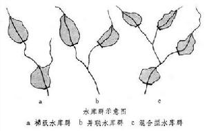 水庫群調度