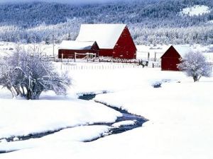 《大雪十四行》