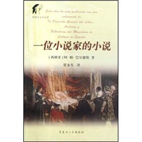 《一位小說家的小說》