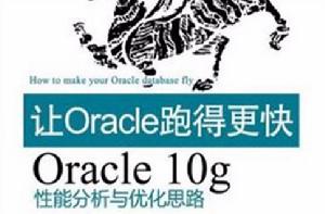 Oracle 10g性能分析與最佳化思路