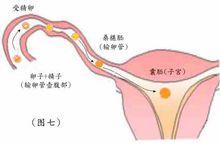 自然受孕