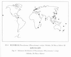 分布圖:厥目革囊星蟲