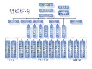 組織結構圖