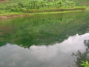 包山自然村