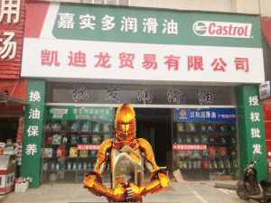 廣西南寧凱迪龍貿易公司 廣西南寧凱迪龍貿易公司