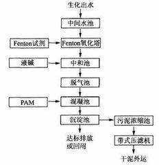 芬頓試劑