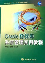 Oracle資料庫系統管理實例教程