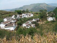 周家坪村[雲南昭通巧家縣包穀垴鄉下轄村]