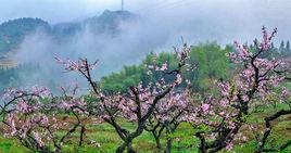 高陽村[福建省三明市寧化縣河龍鄉高陽村]