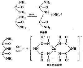 卵清蛋白