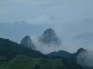 金紫山