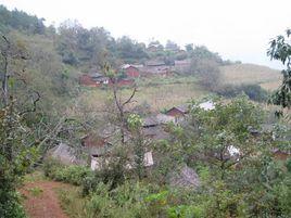 永樂村[雲南永勝縣大安鄉下轄村]