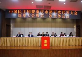 中國民主同盟重慶市委員會