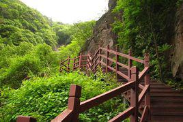 九峰山[湖北省武漢市九峰山]