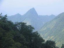 空山國家森林公園