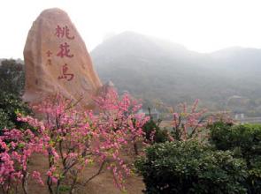 Linquan county