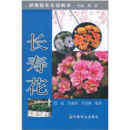 長壽花[2011年版程麗等著圖書]