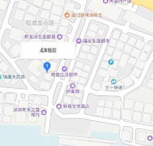 龍東社區[龍東社區（深圳市龍崗區寶龍街道）]