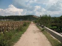 進村道路