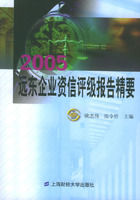 2005遠東企業資信評級報告精要