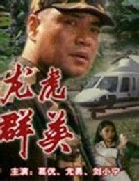 龍虎群英[1993年劉小寧導演的大陸電影]