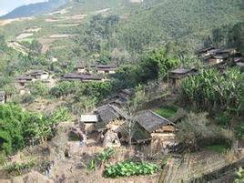 龍樹自然村[雲南昆明東川區紅土地鎮龍樹村委龍樹自然村]