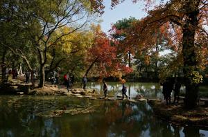 天平山國家森林公園