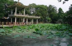 邛崍瓮亭公園