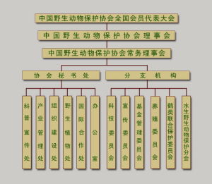 協會組織機構圖