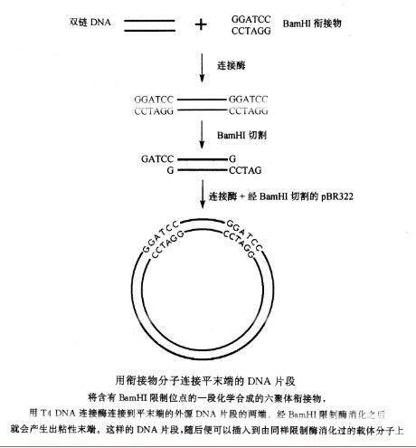 銜接物連線法