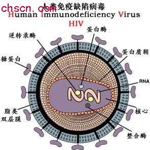 愛滋病痴呆症狀群