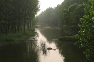 張汪鎮河流