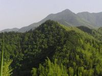 楊岐山山勢