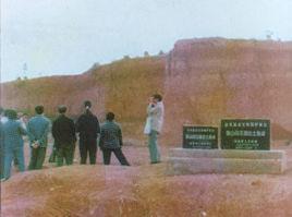 陳山舊石器遺址