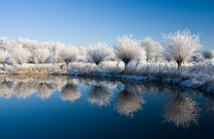 雪景