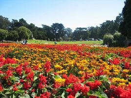 芝加哥植物園