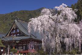 久遠寺[山梨縣南巨摩郡身延町寺廟]