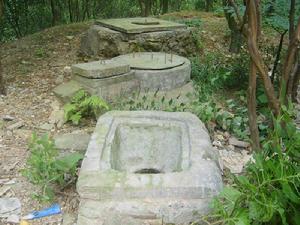 上白水村[雲南省昭通市彝良縣牛街鎮下轄村]