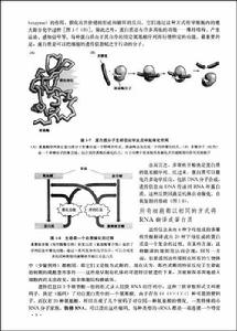 《細胞的分子生物學》