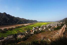 坦坪村[湖南省永州市祁陽縣坦坪村]