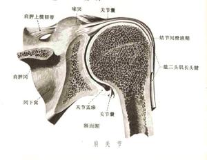 肩關節周圍炎