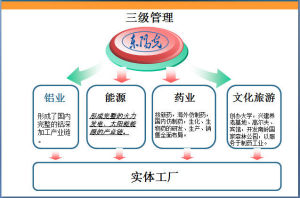 廣東東陽光鋁業股份有限公司