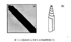 碳納米卷