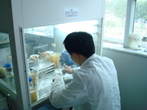 廣東省微生物檢測新技術研究發展中心