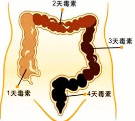 人體毒素