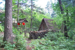 森林生態旅遊專業