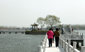 東台永豐林農業生態園