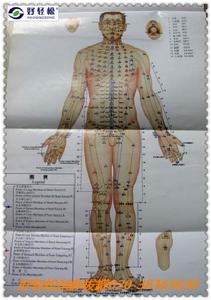 針灸拔罐穴點陣圖