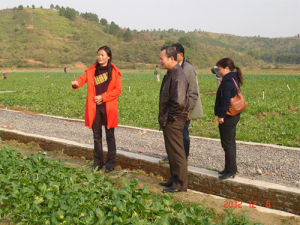 廣西大自然蔬菜基地