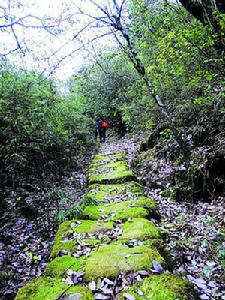 茶鹽古道